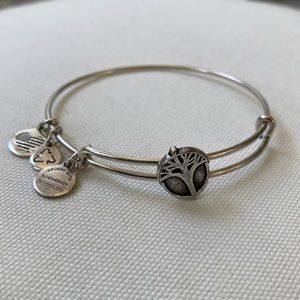 Alex & Ani Sliding Charm Bangle